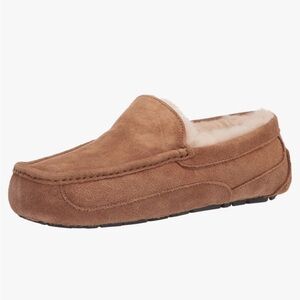 Ugg Ascot Slipper